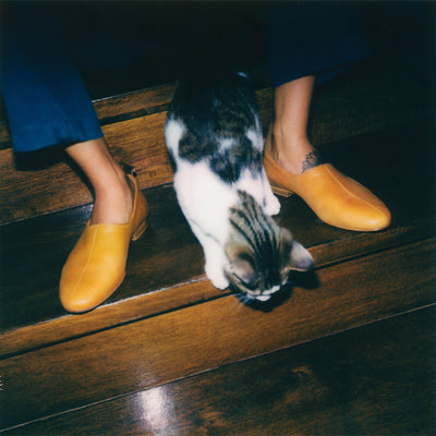ballet flat leather shoe in yellow, yellow leather shoe, cat walking through shoes#color_ochre